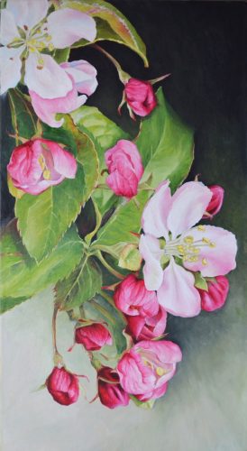 Apple Blossom