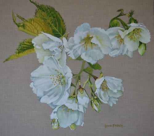 White Blossom