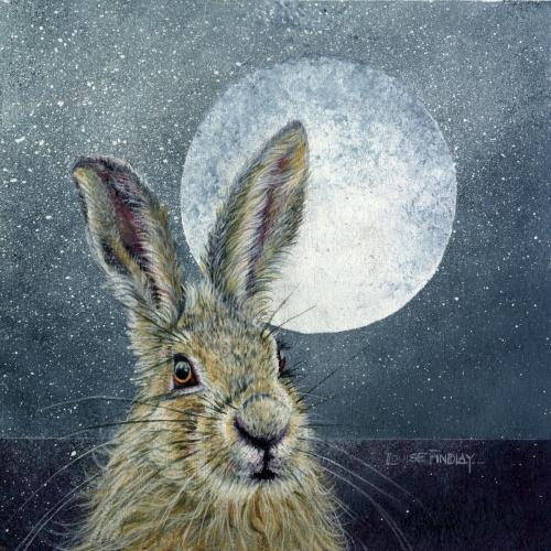 Hare
