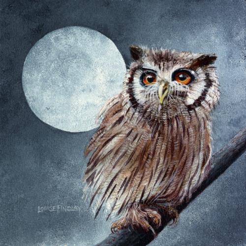 Owl