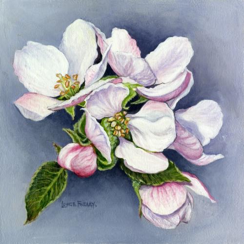 Blossom White Pink